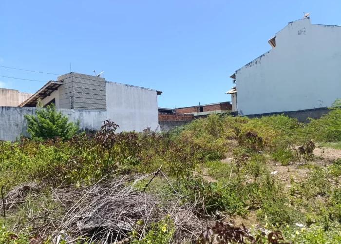 LOTE ARACAJU 3 terrenos - 1