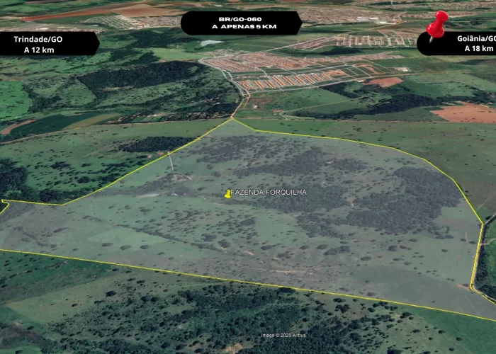 super-negocio-catalogo-terreno-fazenda-forquilha-trindade-go
